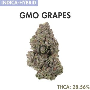 THCA Flower : GMO Grapes