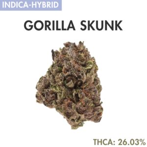THCA Flower : Gorilla Skunk
