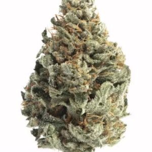 THCA Flower : Sherblato