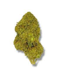 THCA Flower : Mango