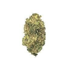 THCA Flower : Gushers