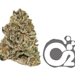 THCA Flower : Insane Pound Cake