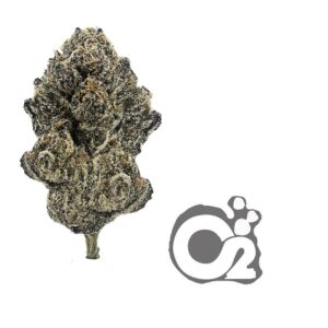 THCA Flower : Watermelon Gumdrop