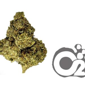 THCA Flower : Citrus Blast