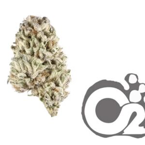 THCA Flower : Super Jack
