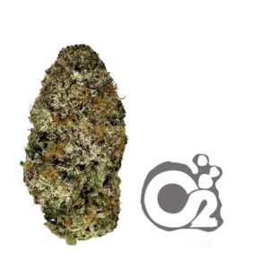 THCA Flower : Bubble Gum Runtz