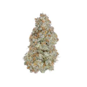 THCA Flower : Cereal Milk