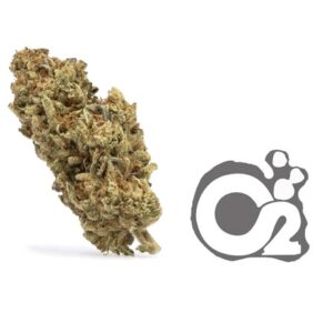THCA Flower : Gelonade
