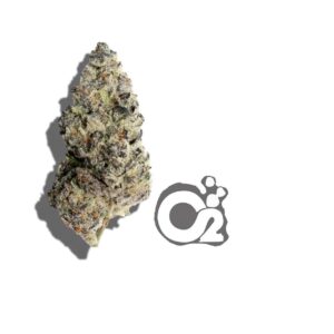 THCA Flower : Vice City