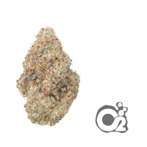 THCA Flower : Blueberry Muffin