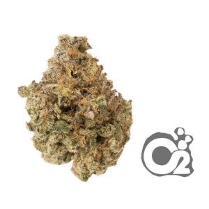 THCA Flower: Garlic Mints