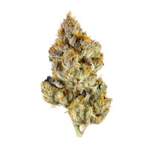 THCA Flower : Oreoz