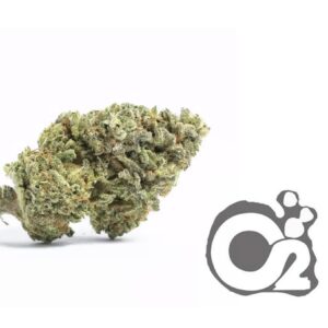 THCA Flower : Peanut Butter Breath