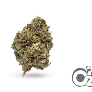 THCA Flower : Strawberry Champagne