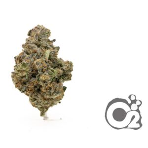 THCA Flower : Gascotti