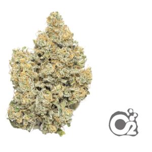 THCA Flower : Sour Bear