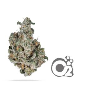 THCA Flower: Blue Magoo