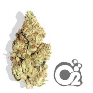 THCA Flower: Melted Strawberry