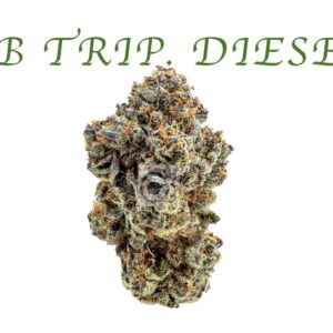 THCA Flower: BB Triple Diesel