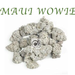 THCA Flower: Snow Cap - Maui Wowie