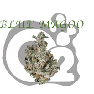 THCA Flower: Blue Magoo