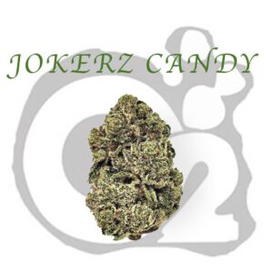 THCA Flower : Jokerz Candy