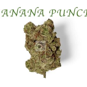 THCA Flower: Banana Punch