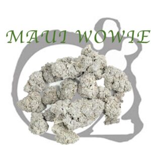 THCA Flower: Snow Cap - Maui Wowie