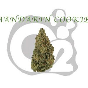 THCA Flower : Mandarin Cookies
