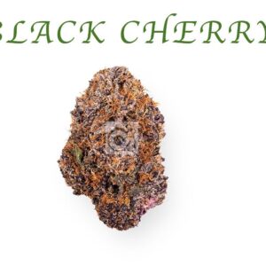 THCA Flower: Black Cherry Pie