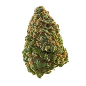 THCA Flower: Lunch Money