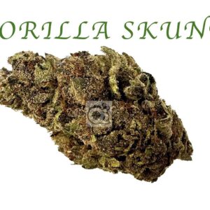 THCA Flower: Wonderbread