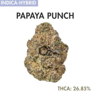 THCA Flower : Papaya Punch