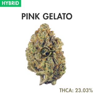 THCA Flower: Pink Gelato