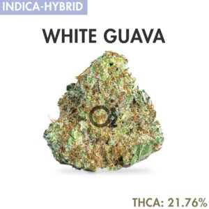 THCA Flower: White Guava