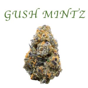 THCA Flower: Gush Mintz
