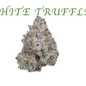 THCA Flower: White Truffle