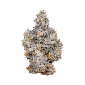 THCA Flower: Guava Tarts