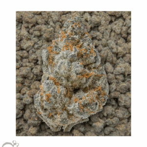 THCA Flower: Guavalato (Smalls)