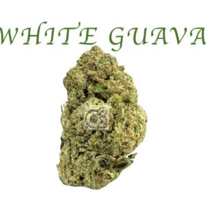 THCA Flower: White Guava