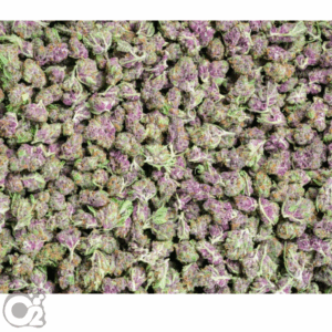 THCA Flower : Frosted Blueberry Haze (Smalls)