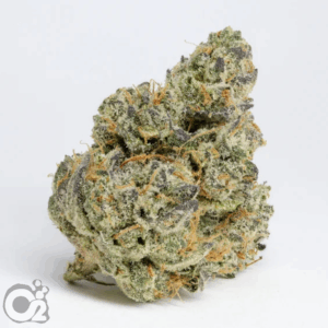 THCA Flower: Animal Face