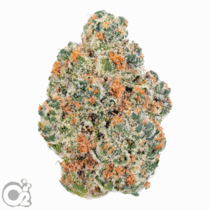 THCA Flower: Orange Push Pop