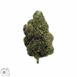 THCA Flower: Pablo’s Revenge