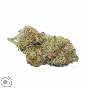 THCA Flower: Triple Cake