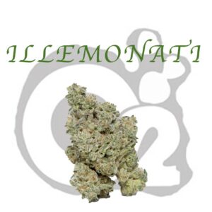 THCA Flower : Illemonati