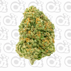 THCA Flower – Slush Mintz