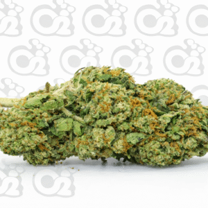 THCA Flower – Blueberry Pancakes