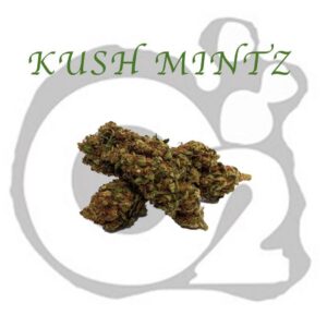 THCA Flower : Kush Mintz