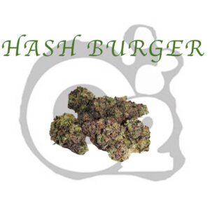 THCA Flower : Hash Burger